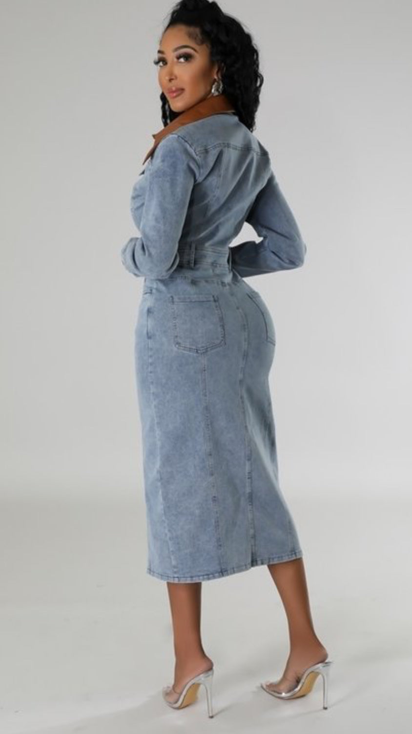 SAVAGE DENIM DRESS